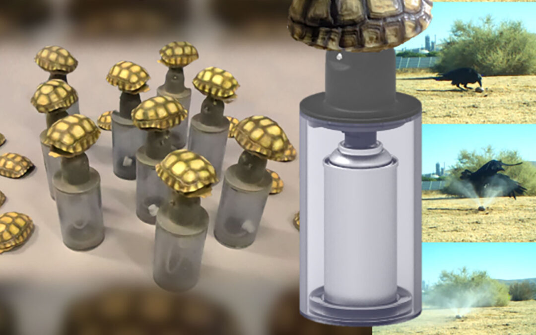 DBJ posts article on CRG’s Techno-Tort™ desert tortoise preservation technology