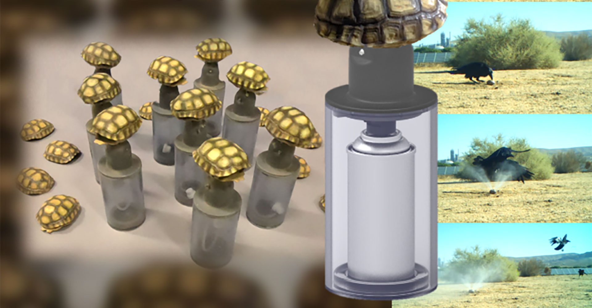 DBJ posts article on CRG’s Techno-Tort™ desert tortoise preservation technology